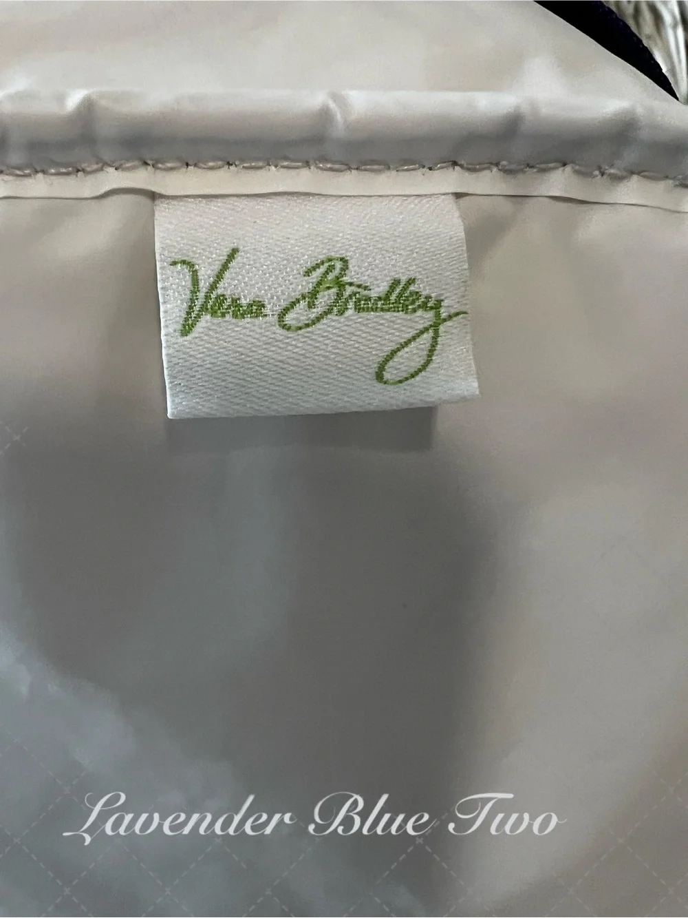 VERA BRADLEY Heather 2013 Zipper Insulated Lunch Bunch Bag Green Purple Paisley